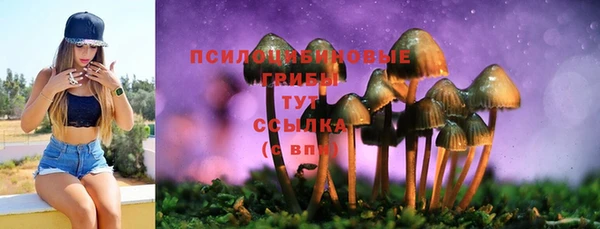 кокаин перу Горняк
