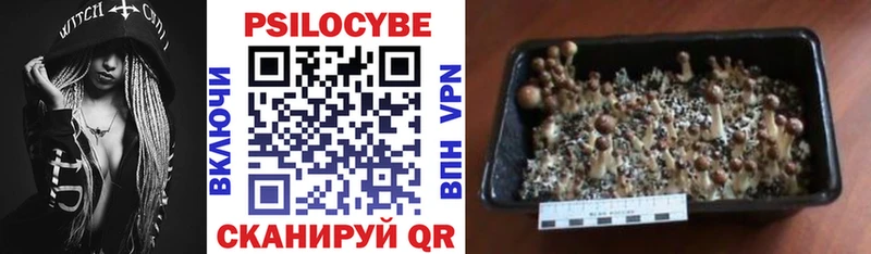 продажа наркотиков  Дальнереченск  Псилоцибиновые грибы мухоморы 